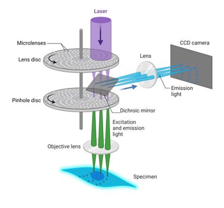 What does spinning from the fold mean?