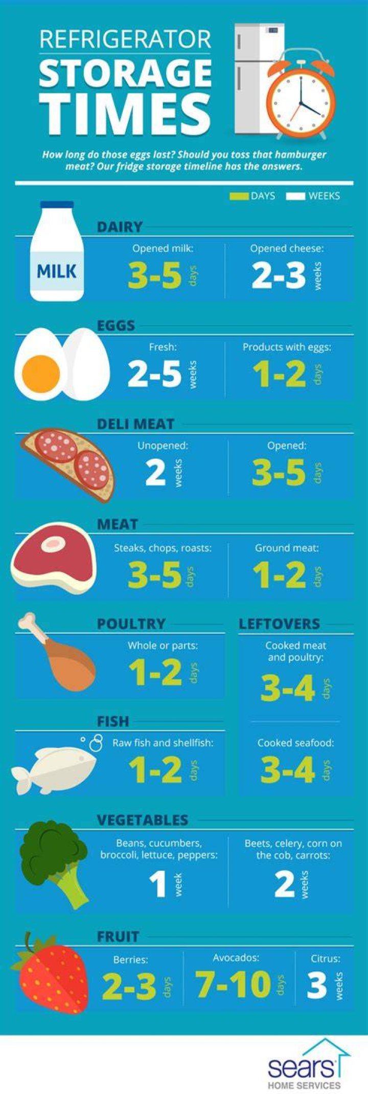 What foods can be stored for 10 years?