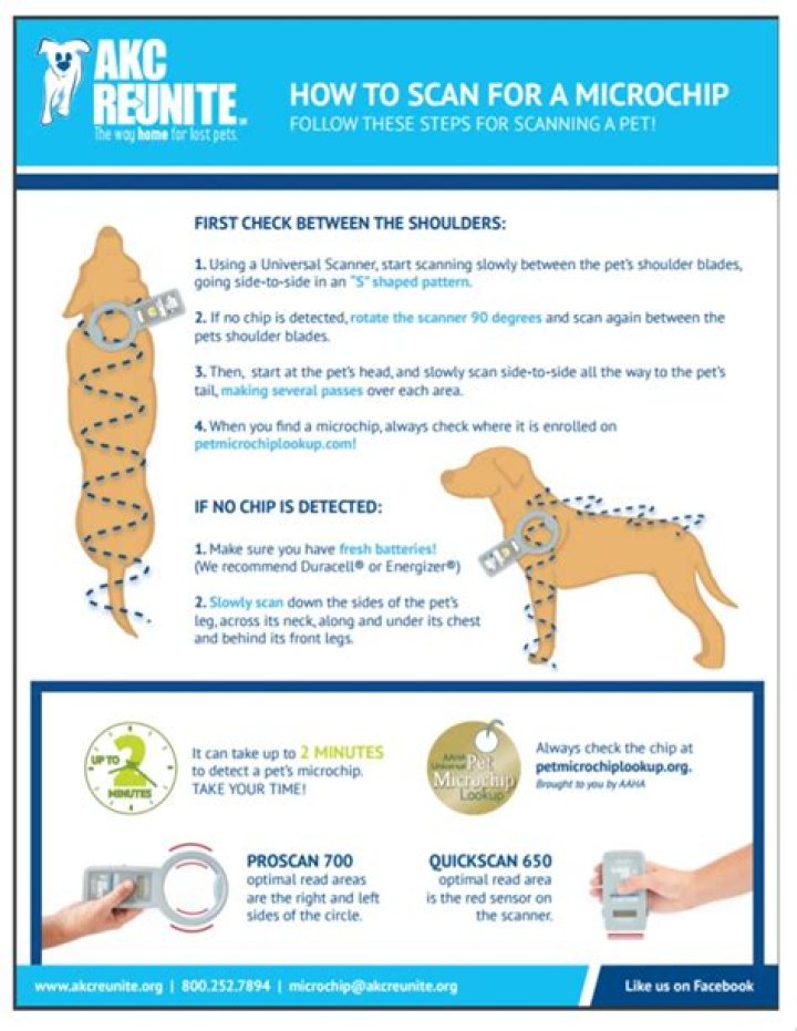 What happens to microchip when dog is cremated?