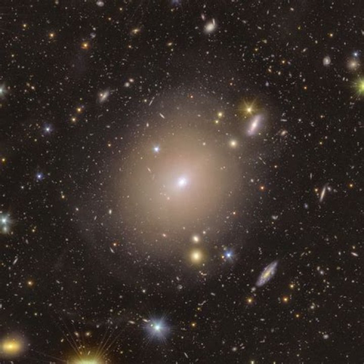 What is a Euclid galaxy?