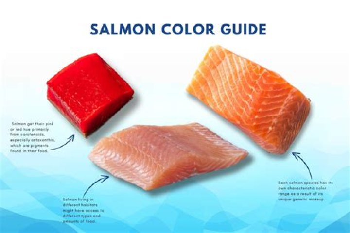 What is another name for pink salmon?