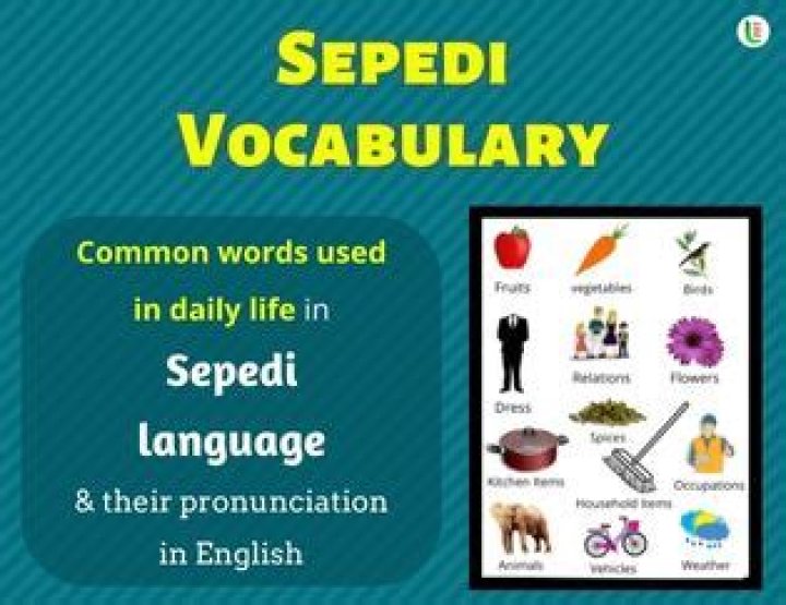 What is joy in Sepedi?