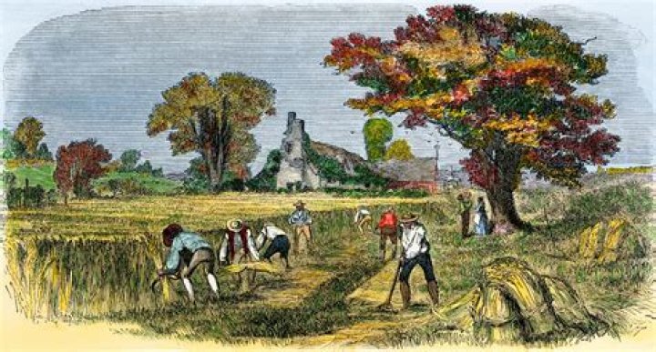 What is meant by industrial farming?