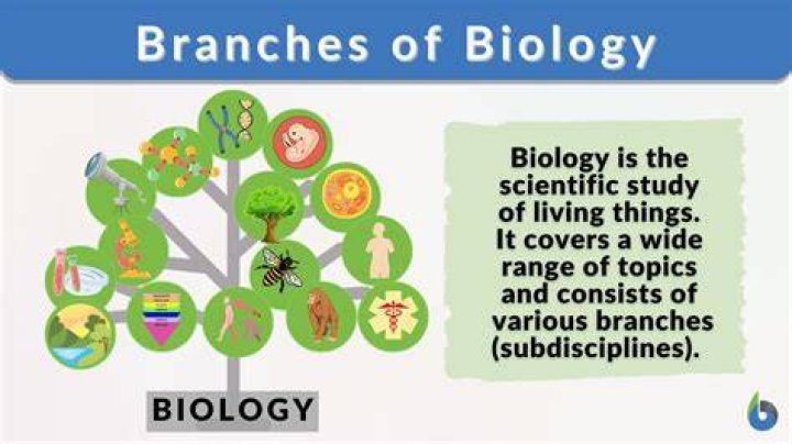 What is Pangenesis in biology?