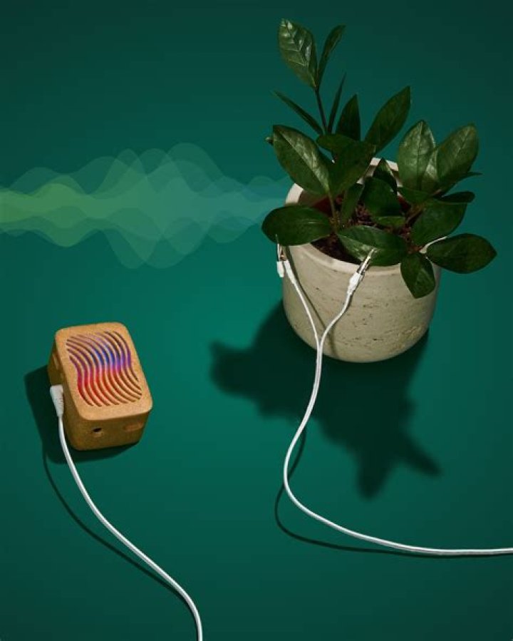 What is PlantWave?