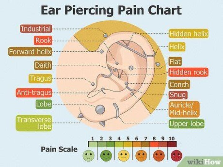 What is the least painful cartilage piercing?