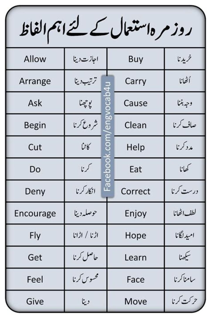 What is the meaning of vise in Urdu?
