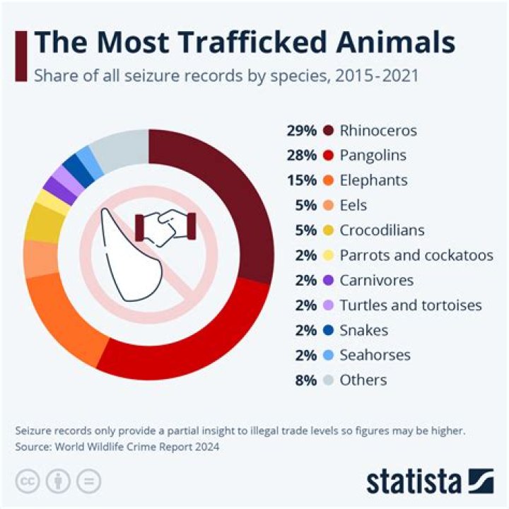 What is the most trafficked animal in the world?