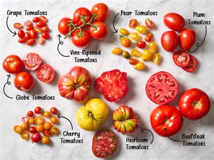 What kind of tomatoes produce all season?
