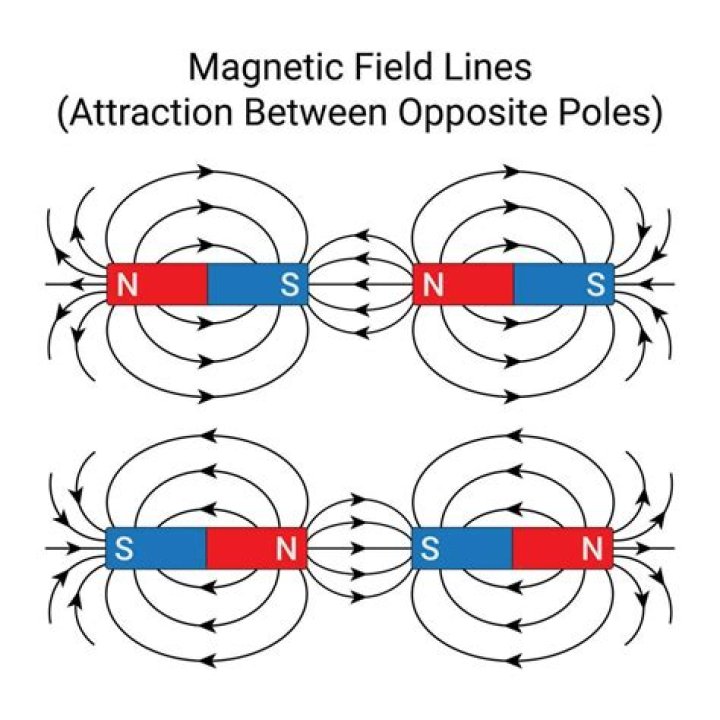 What magnets attract each other?