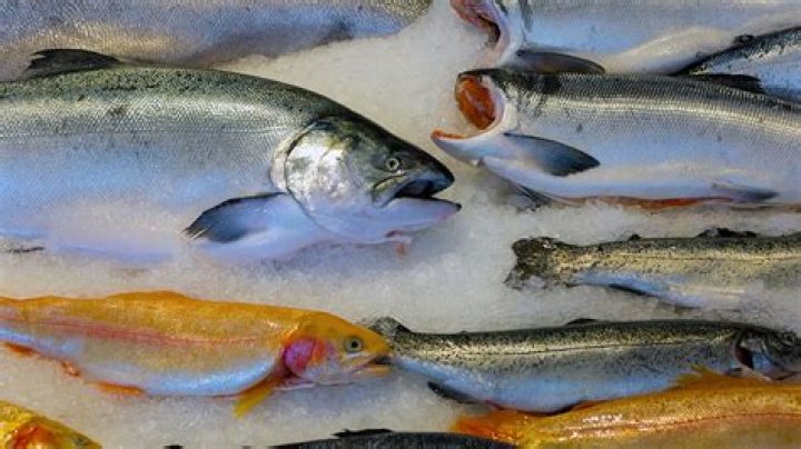 What neutralizes fishy smell?