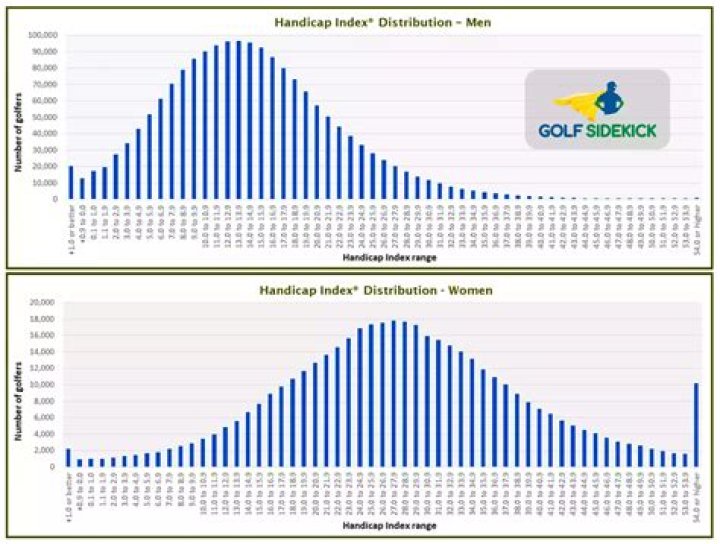 What percentage of golfers are single digit handicappers?