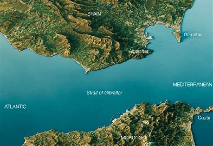 What race is Gibraltar?