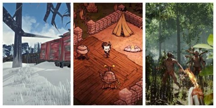What was the first survival game?