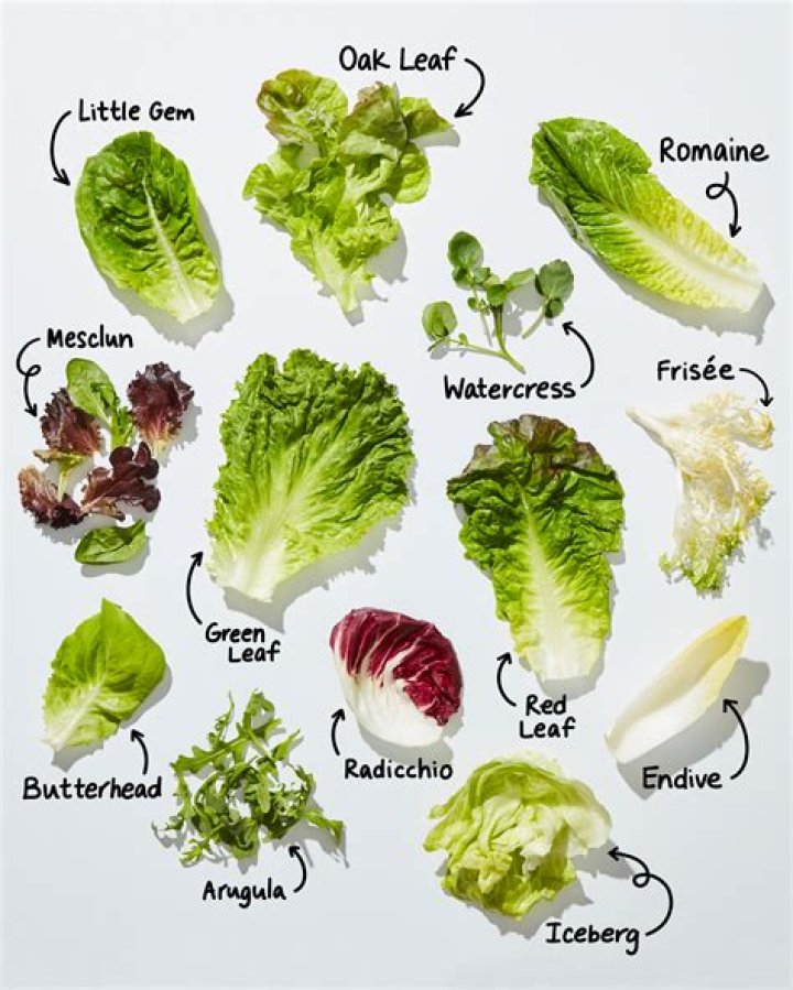 Whats the best lettuce for salad?