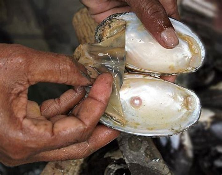 Where pearls are found in India?