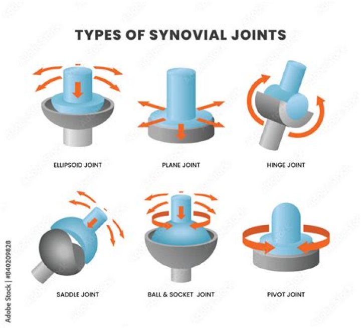 Which ball joints wear out first?