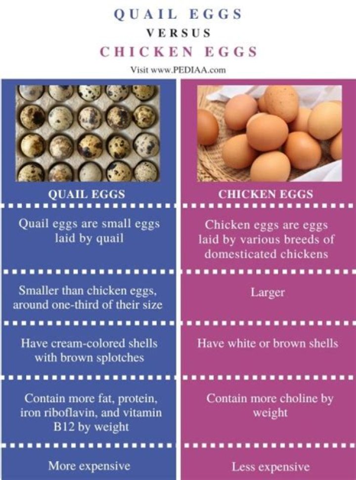 Which is healthier chicken egg or quail egg?