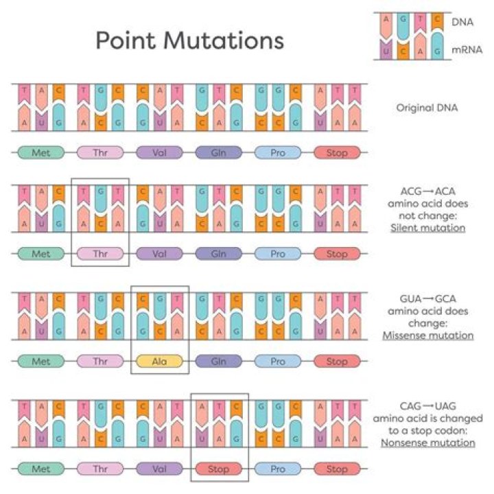 Which of the following disorder is an example of point mutation?