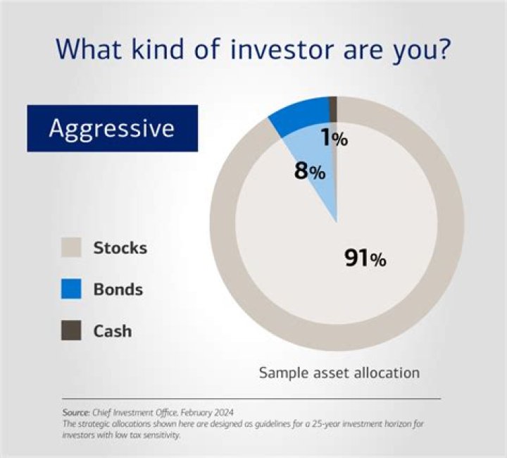 Who is an aggressive investor?