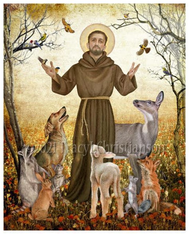 Who is the patron saint of animals?
