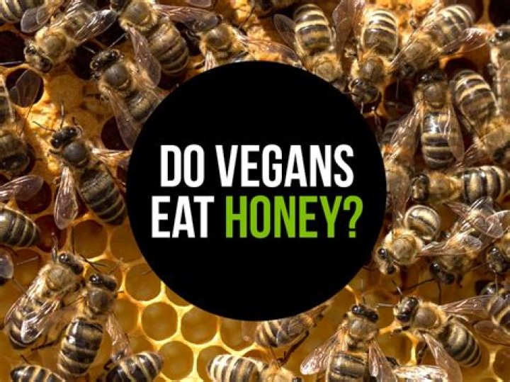 Why do vegans think honey is cruel?