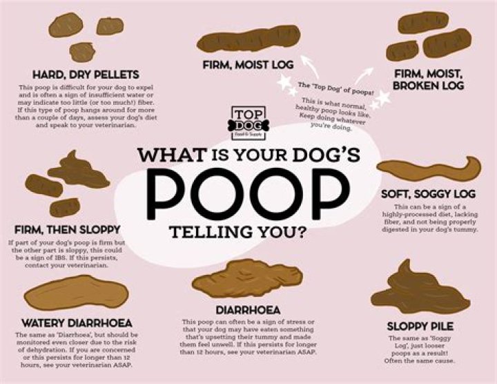 Why does my poop get weird on my period?