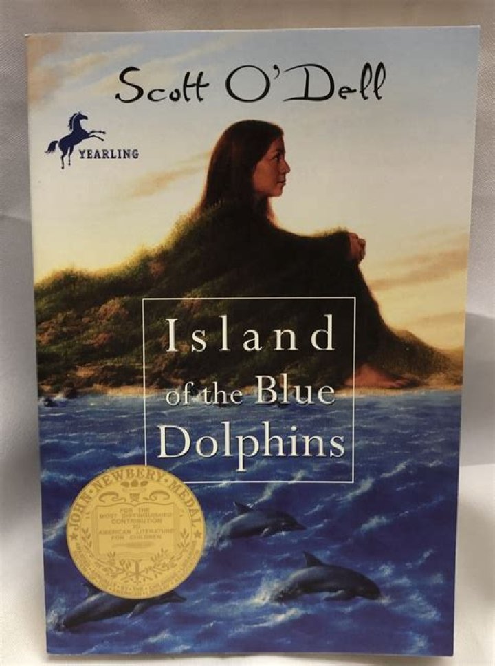 Why is the book called Island of the Blue Dolphins?