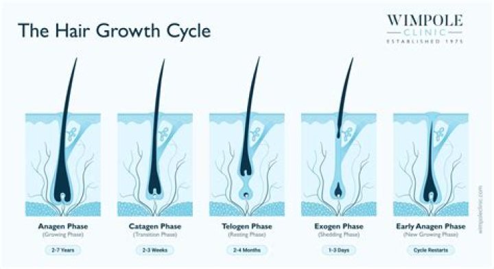 Why should you not pluck hairs from moles?